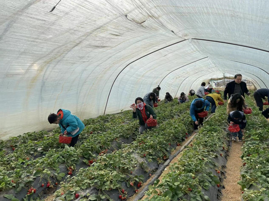 图片.png 图片.png