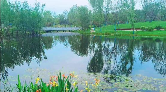 图片3.jpg 图片3.jpg